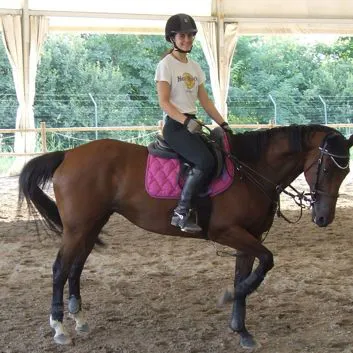 Cavallo